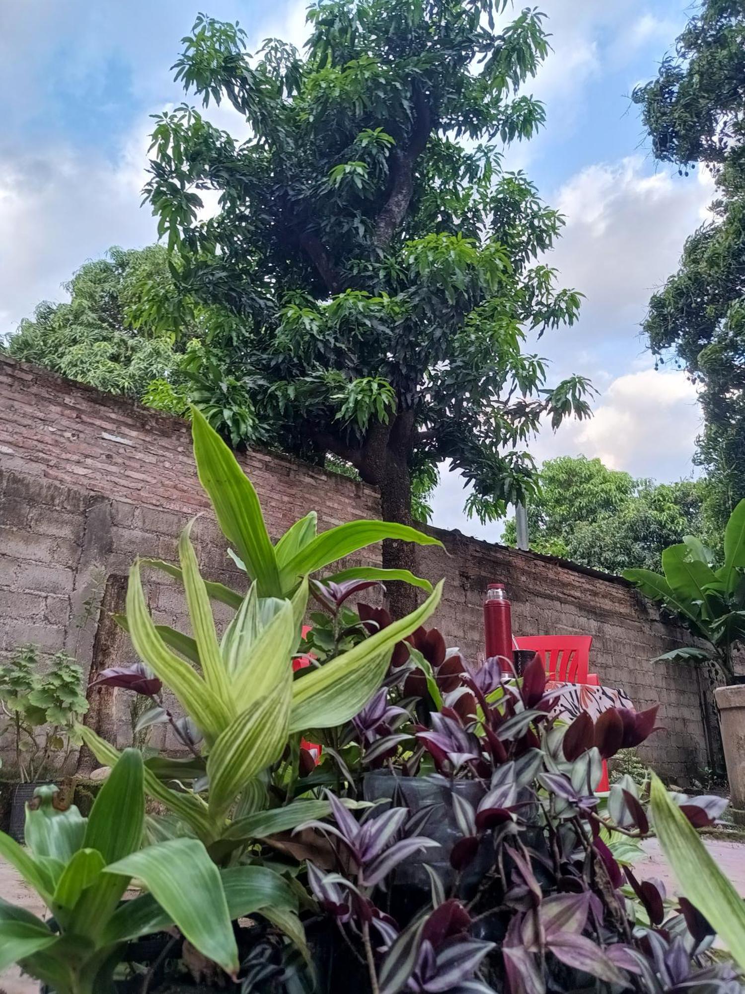 Entre Mangos Y Tucanes Calilegua Exterior foto